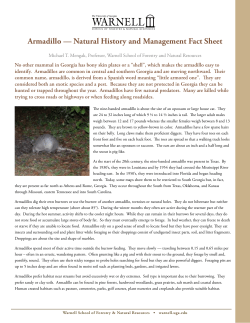 Armadillo &mdash; Natural History and Management Fact Sheet
