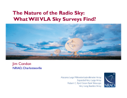 The Nature of the Radio Sky: What Will VLA Sky Surveys