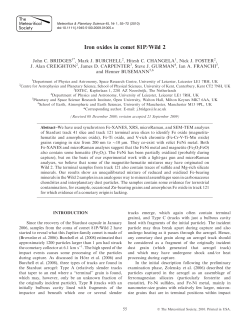 Iron oxides in comet 81P&frasl;Wild 2
