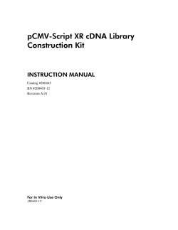 pCMV-Script XR cDNA Library Construction Kit