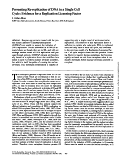 Preventing Re-replication of DNA in a Single Cell Cycle: Evidence