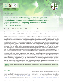 Does reduced precipitation trigger physiological and morphological
