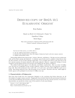 Derived copy of Bis2A 10.5 Eukaryotic Origins