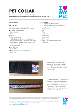 a decorative party collar