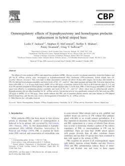 Osmoregulatory effects of hypophysectomy and