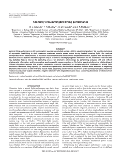 Allometry of hummingbird lifting performance