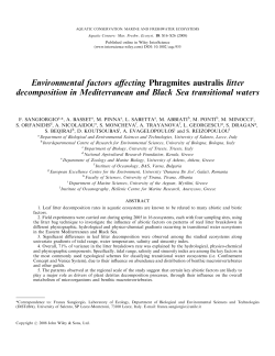 Environmental factors affecting Phragmites australis litter