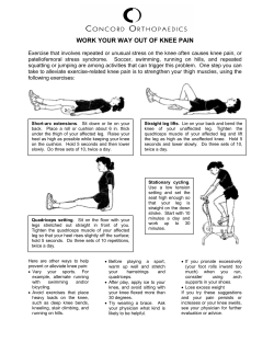 "Work Your Way Out of Knee Pain" Information Sheet