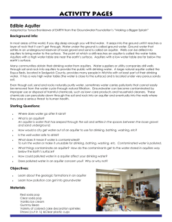 Edible Aquifer Activity