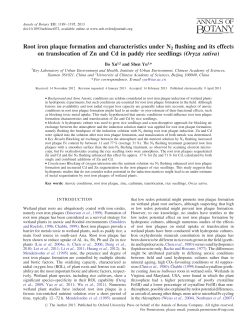 Root iron plaque formation and characteristics