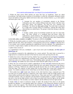 Appendix 5 SPIDERS 1. Within the huge group called animals are