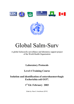 E. coli - Isolation and Identification