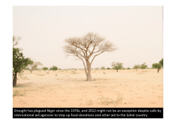 Re-Greening the Sahel in Niger - Heinrich B&ouml;ll Stiftung Nigeria