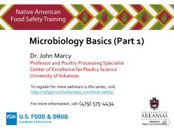 Microbiology Basics (Part 1)