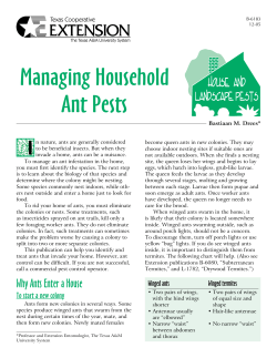 Managing Household Ant Pests