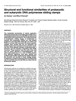 Structural and functional similarities of prokaryotic and eukaryotic
