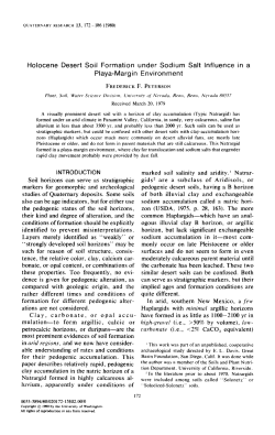 Holocene Desert Soil Formation under Sodium Salt Influence in a
