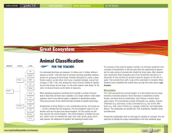 PDF - Information for the Teacher