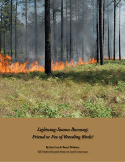 Friend or Foe of Breeding Birds? - America`s Longleaf Restoration