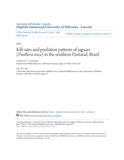 Kill rates and predation patterns of jaguars