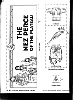 the nez perce of the plateau