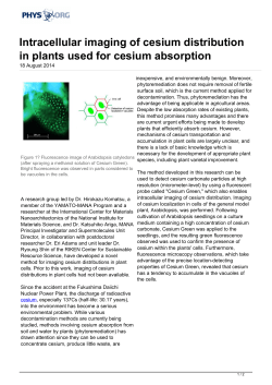 Intracellular imaging of cesium distribution in plants used