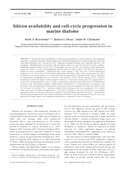 Silicon availability and cell-cycle progression in