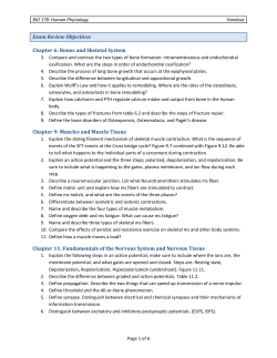 Exam Review Objectives Chapter 6: Bones and Skeletal System