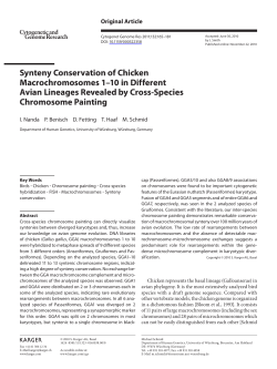 Synteny Conservation of Chicken Macrochromosomes 1