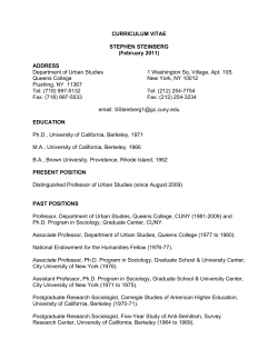 CURRICULUM VITAE STEPHEN STEINBERG