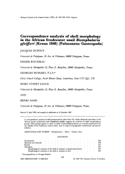 Correspondence analysis of shell morphology in the African