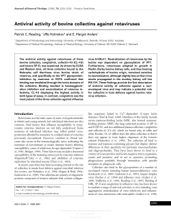 Antiviral activity of bovine collectins against rotaviruses