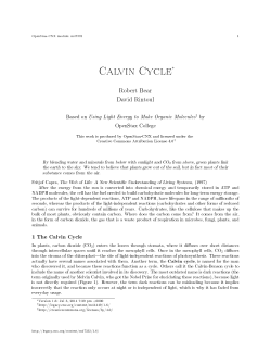 Calvin Cycle - OpenStax CNX