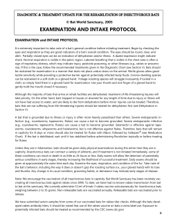 examination and intake protocol