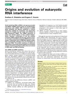 Origins and evolution of eukaryotic RNA interference