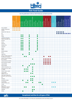 Fish Food Guide