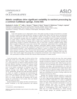 Abiotic conditions drive significant variability in nutrient processing