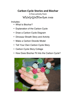 Carbon Cycle Stories