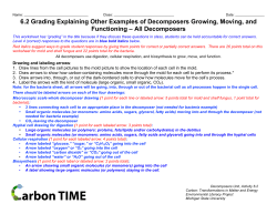 6.2 Grading Explaining Other Examples of Decomposers