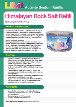 Himalayan Rock Salt Refill