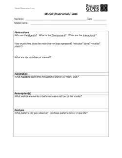 Model Observation Form