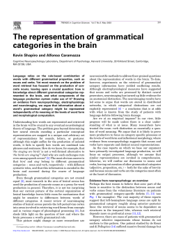The representation of grammatical categories in the brain