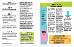 Lesson Nine: Capillary Action II