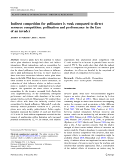 Indirect competition for pollinators is weak compared to direct