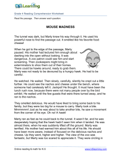 Reading Comprehension Worksheet - mouse - Grade 4