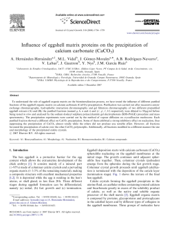Influence of eggshell matrix proteins on the precipitation of calcium