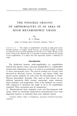the possible origins of amphibolites in an area of high metamorphic
