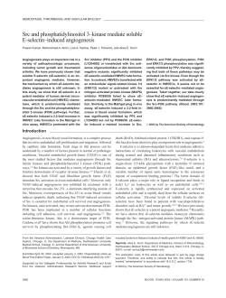 Src and phosphatidylinositol 3&ndash;kinase mediate