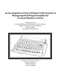 An Investigation of Insect Netting Trellis Systems to Manage Spotted