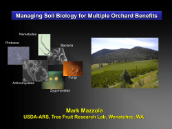 Mark Mazzola Managing Soil Biology for Multiple Orchard Benefits